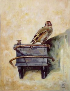 Goldfinch_C._Fabritius