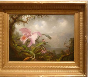 MartinJohnsonHeadeOrchidAndHummingbird